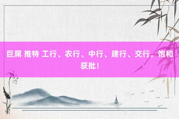 巨屌 推特 工行、农行、中行、建行、交行，饱和获批！