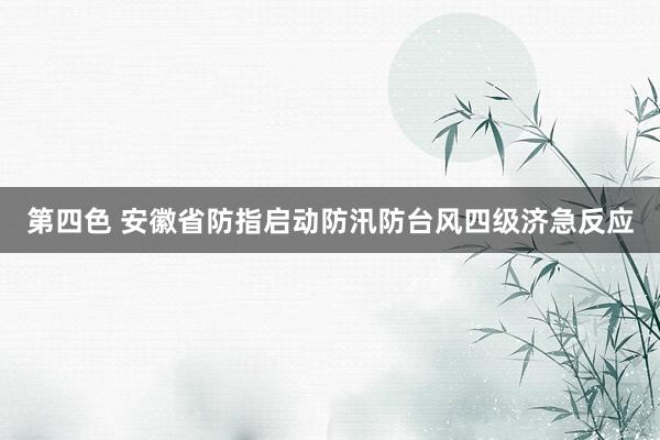 第四色 安徽省防指启动防汛防台风四级济急反应