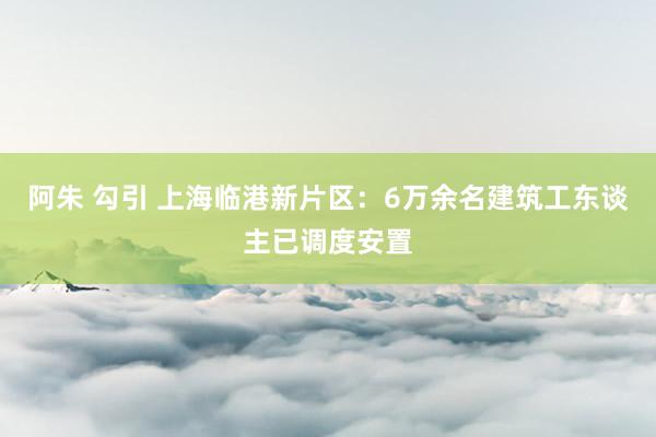 阿朱 勾引 上海临港新片区：6万余名建筑工东谈主已调度安置