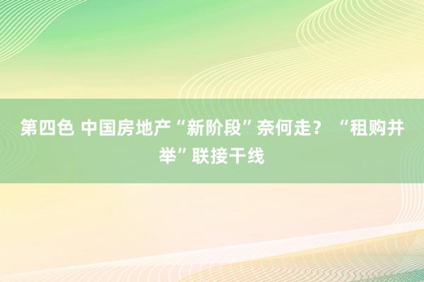 第四色 中国房地产“新阶段”奈何走？ “租购并举”联接干线