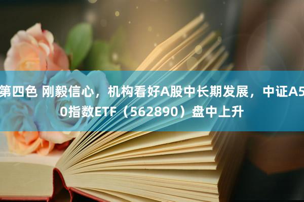 第四色 刚毅信心，机构看好A股中长期发展，中证A50指数ETF（562890）盘中上升