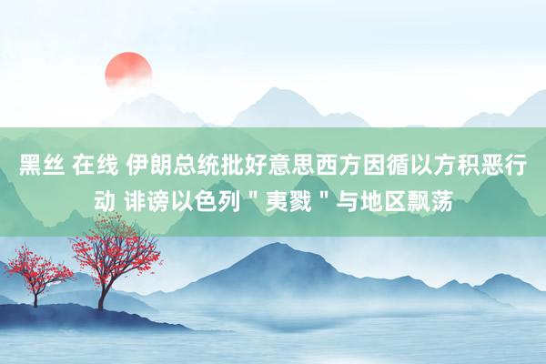 黑丝 在线 伊朗总统批好意思西方因循以方积恶行动 诽谤以色列＂夷戮＂与地区飘荡