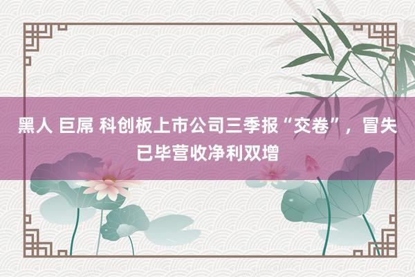 黑人 巨屌 科创板上市公司三季报“交卷”，冒失已毕营收净利双增