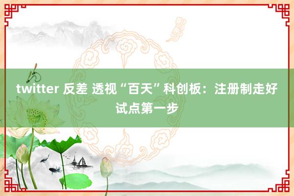 twitter 反差 透视“百天”科创板：注册制走好试点第一步