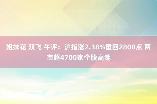 姐妹花 双飞 午评：沪指涨2.38%重回2800点 两市超4700家个股高潮