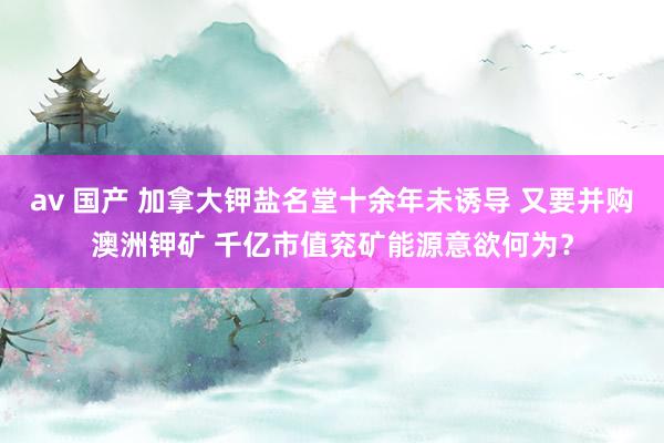 av 国产 加拿大钾盐名堂十余年未诱导 又要并购澳洲钾矿 千亿市值兖矿能源意欲何为？