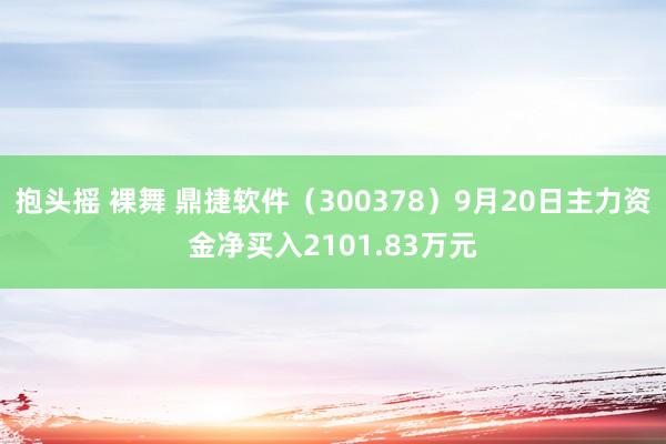 抱头摇 裸舞 鼎捷软件（300378）9月20日主力资金净买入2101.83万元