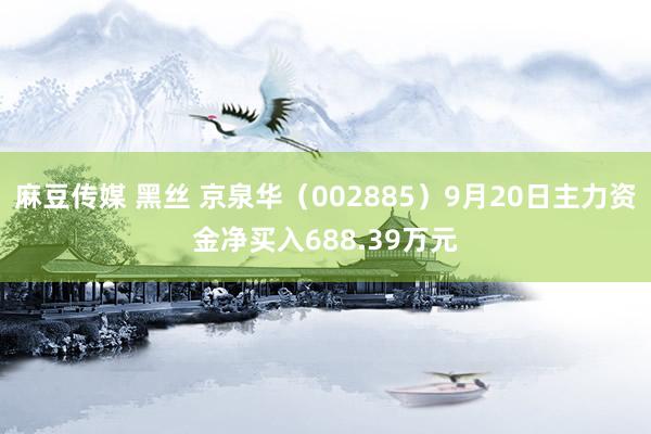 麻豆传媒 黑丝 京泉华（002885）9月20日主力资金净买入688.39万元