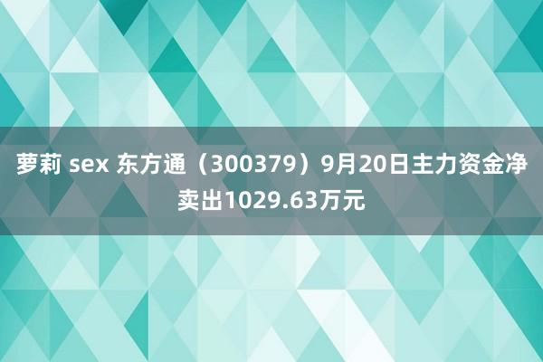 萝莉 sex 东方通（300379）9月20日主力资金净卖出1029.63万元