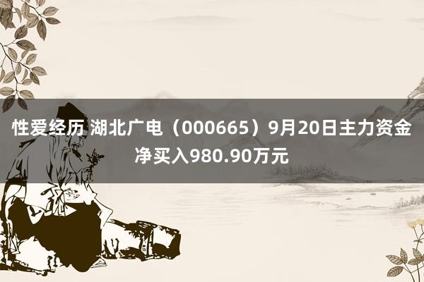 性爱经历 湖北广电（000665）9月20日主力资金净买入980.90万元