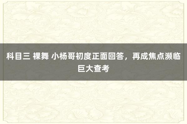 科目三 裸舞 小杨哥初度正面回答，再成焦点濒临巨大查考