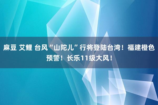 麻豆 艾鲤 台风“山陀儿”行将登陆台湾！福建橙色预警！长乐11级大风！