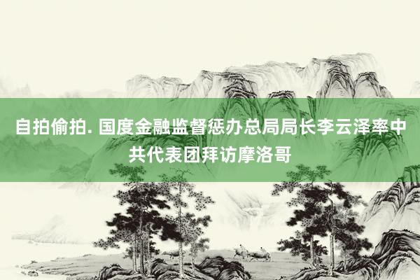 自拍偷拍. 国度金融监督惩办总局局长李云泽率中共代表团拜访摩洛哥