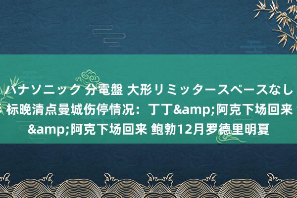 パナソニック 分電盤 大形リミッタースペースなし 露出・半埋込両用形 标晚清点曼城伤停情况：丁丁&阿克下场回来 鲍勃12月罗德里明夏