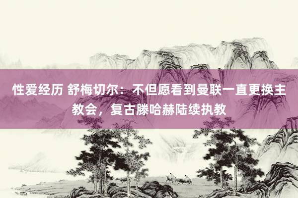 性爱经历 舒梅切尔：不但愿看到曼联一直更换主教会，复古滕哈赫陆续执教