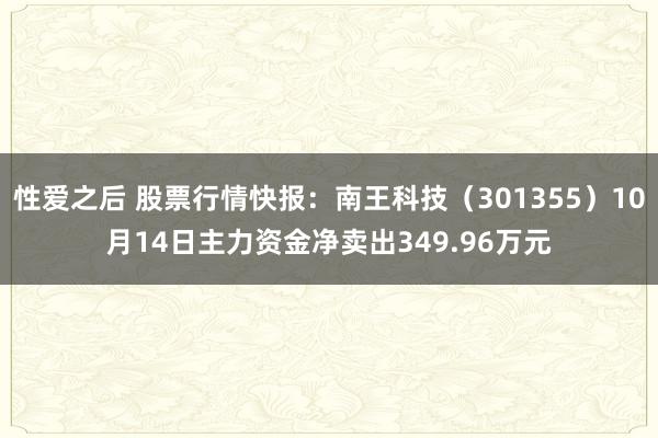 性爱之后 股票行情快报：南王科技（301355）10月14日主力资金净卖出349.96万元