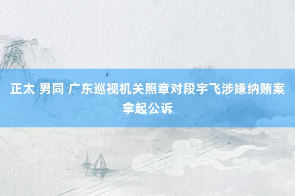 正太 男同 广东巡视机关照章对段宇飞涉嫌纳贿案拿起公诉