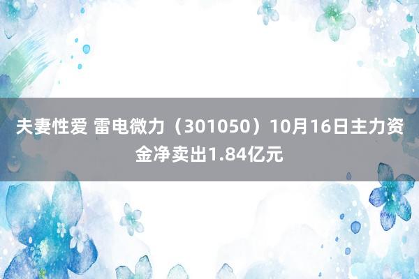 夫妻性爱 雷电微力（301050）10月16日主力资金净卖出1.84亿元