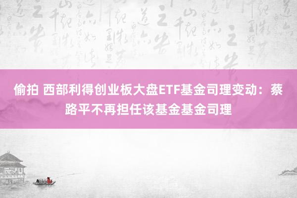 偷拍 西部利得创业板大盘ETF基金司理变动：蔡路平不再担任该基金基金司理