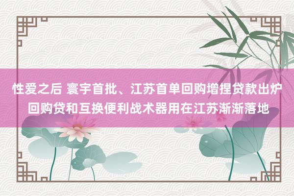 性爱之后 寰宇首批、江苏首单回购增捏贷款出炉 回购贷和互换便利战术器用在江苏渐渐落地