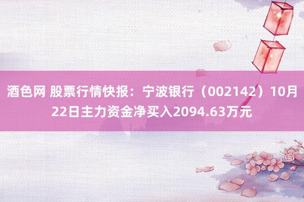 酒色网 股票行情快报：宁波银行（002142）10月22日主力资金净买入2094.63万元