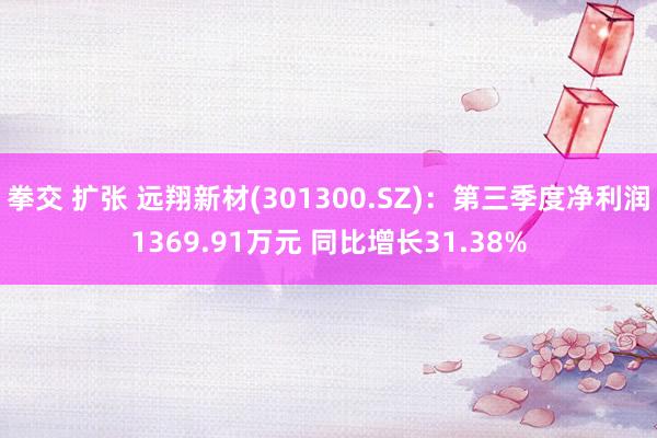 拳交 扩张 远翔新材(301300.SZ)：第三季度净利润1369.91万元 同比增长31.38%