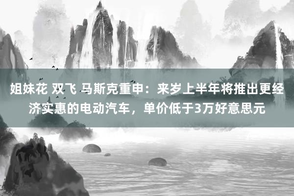 姐妹花 双飞 马斯克重申：来岁上半年将推出更经济实惠的电动汽车，单价低于3万好意思元