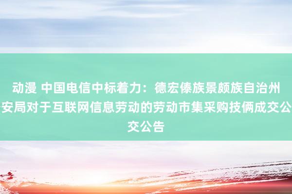 动漫 中国电信中标着力：德宏傣族景颇族自治州公安局对于互联网信息劳动的劳动市集采购技俩成交公告