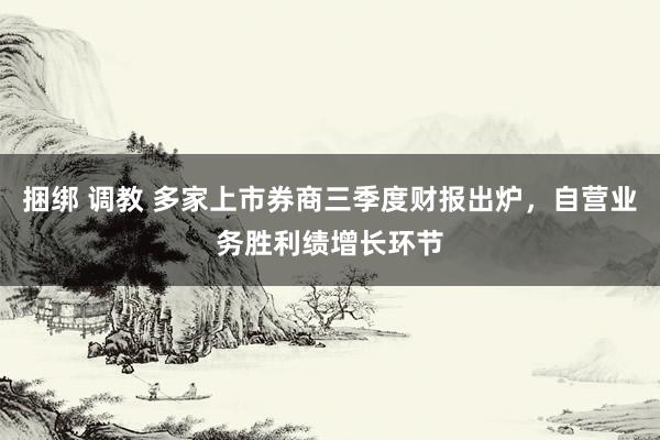 捆绑 调教 多家上市券商三季度财报出炉，自营业务胜利绩增长环节