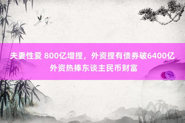 夫妻性爱 800亿增捏，外资捏有债券破6400亿 外资热捧东谈主民币财富