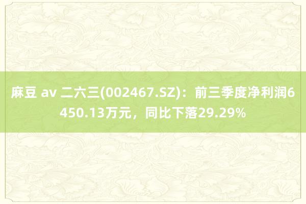 麻豆 av 二六三(002467.SZ)：前三季度净利润6450.13万元，同比下落29.29%