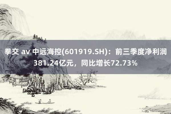 拳交 av 中远海控(601919.SH)：前三季度净利润381.24亿元，同比增长72.73%