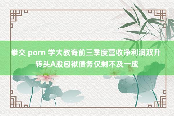 拳交 porn 学大教诲前三季度营收净利润双升 转头A股包袱债务仅剩不及一成