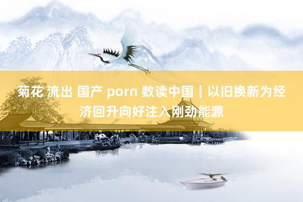 菊花 流出 国产 porn 数读中国｜以旧换新为经济回升向好注入刚劲能源