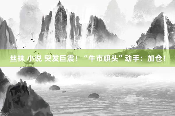 丝袜 小说 突发巨震！“牛市旗头”动手：加仓！