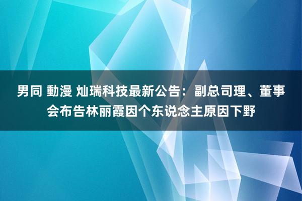 男同 動漫 灿瑞科技最新公告：副总司理、董事会布告林丽霞因个东说念主原因下野