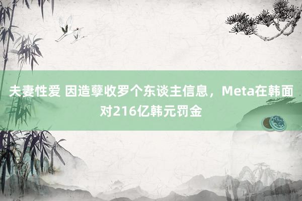 夫妻性爱 因造孽收罗个东谈主信息，Meta在韩面对216亿韩元罚金