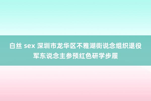 白丝 sex 深圳市龙华区不雅湖街说念组织退役军东说念主参预红色研学步履