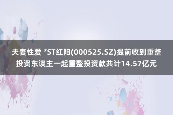 夫妻性爱 *ST红阳(000525.SZ)提前收到重整投资东谈主一起重整投资款共计14.57亿元