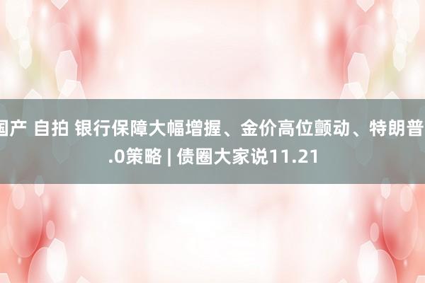 国产 自拍 银行保障大幅增握、金价高位颤动、特朗普2.0策略 | 债圈大家说11.21