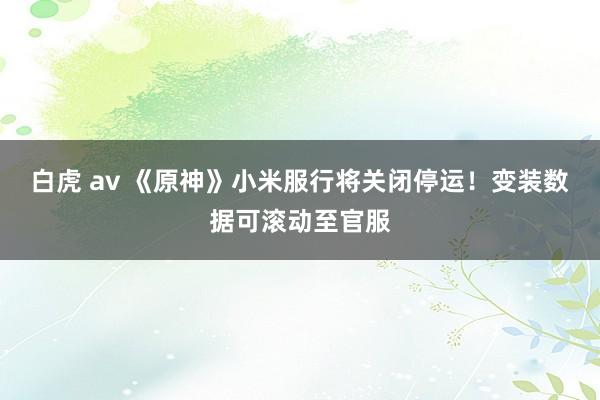 白虎 av 《原神》小米服行将关闭停运！变装数据可滚动至官服