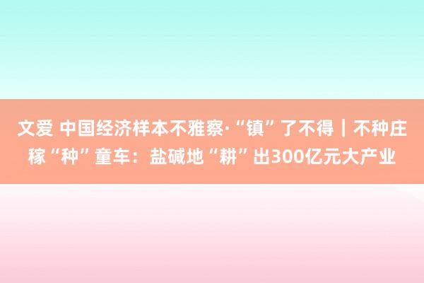 文爱 中国经济样本不雅察·“镇”了不得｜不种庄稼“种”童车：盐碱地“耕”出300亿元大产业