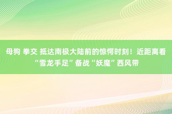 母狗 拳交 抵达南极大陆前的惊愕时刻！近距离看“雪龙手足”备战“妖魔”西风带