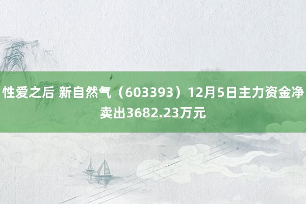 性爱之后 新自然气（603393）12月5日主力资金净卖出3682.23万元