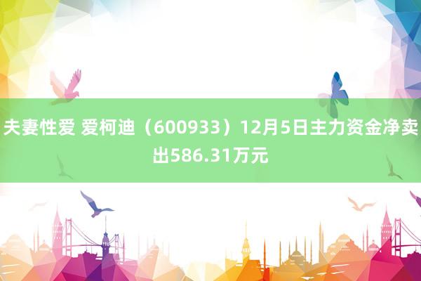 夫妻性爱 爱柯迪（600933）12月5日主力资金净卖出586.31万元