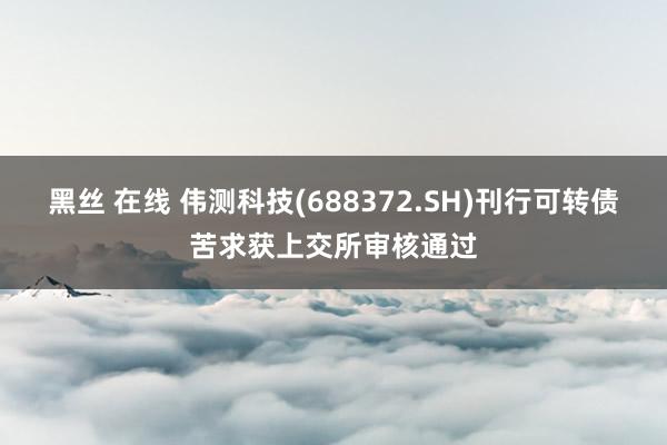 黑丝 在线 伟测科技(688372.SH)刊行可转债苦求获上交所审核通过