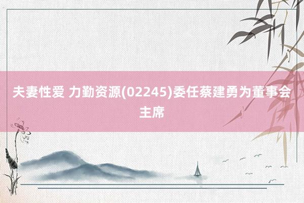 夫妻性爱 力勤资源(02245)委任蔡建勇为董事会主席