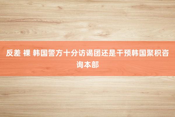 反差 裸 韩国警方十分访谒团还是干预韩国聚积咨询本部