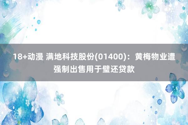 18+动漫 满地科技股份(01400)：黄梅物业遭强制出售用于璧还贷款