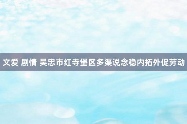 文爱 剧情 吴忠市红寺堡区多渠说念稳内拓外促劳动